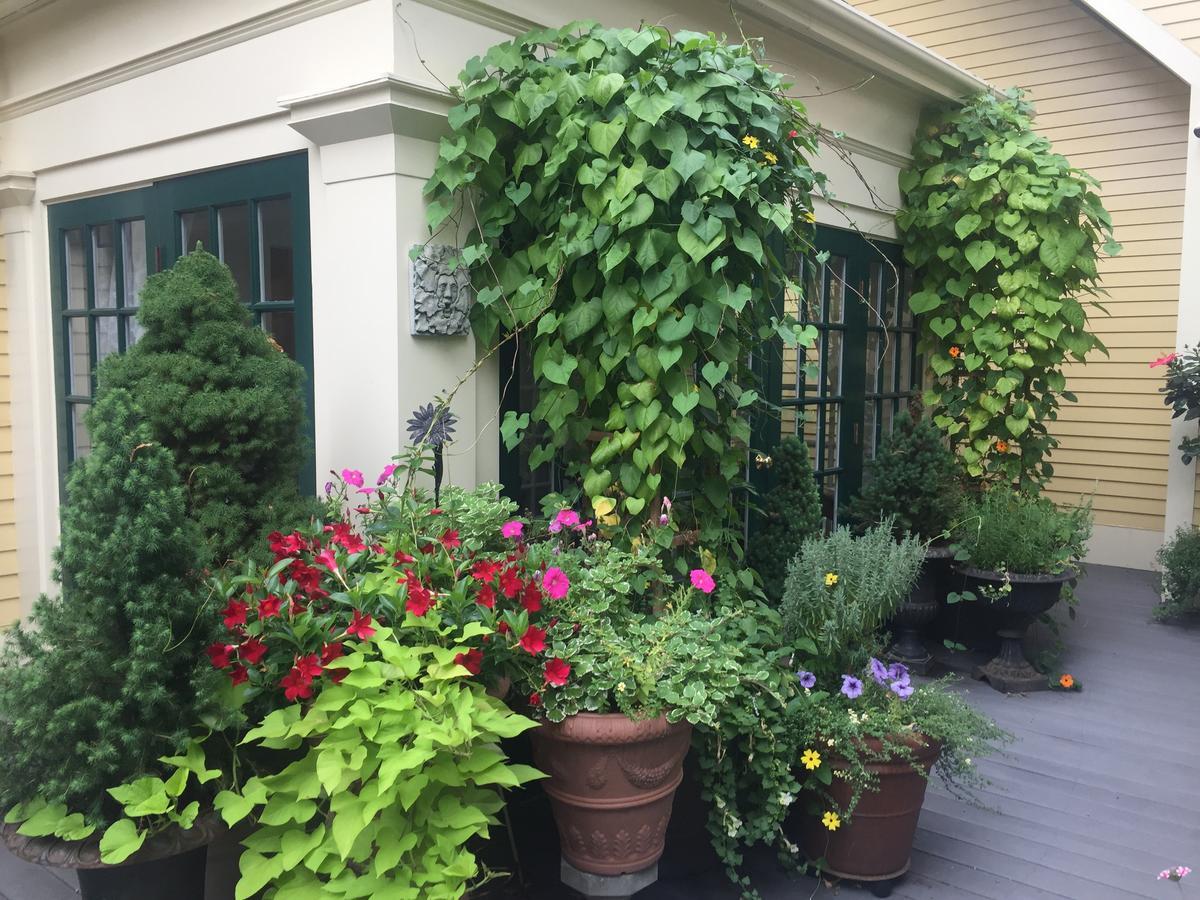 Mary Prentiss Inn Cambridge Eksteriør bilde